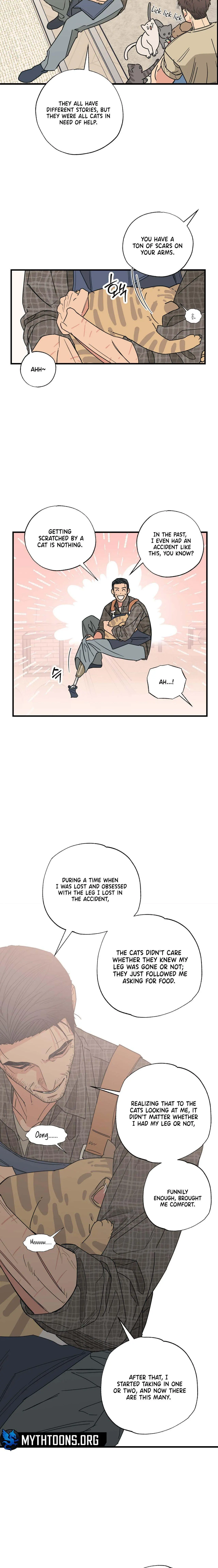 Cat Choice - Chapter 3 Page 8