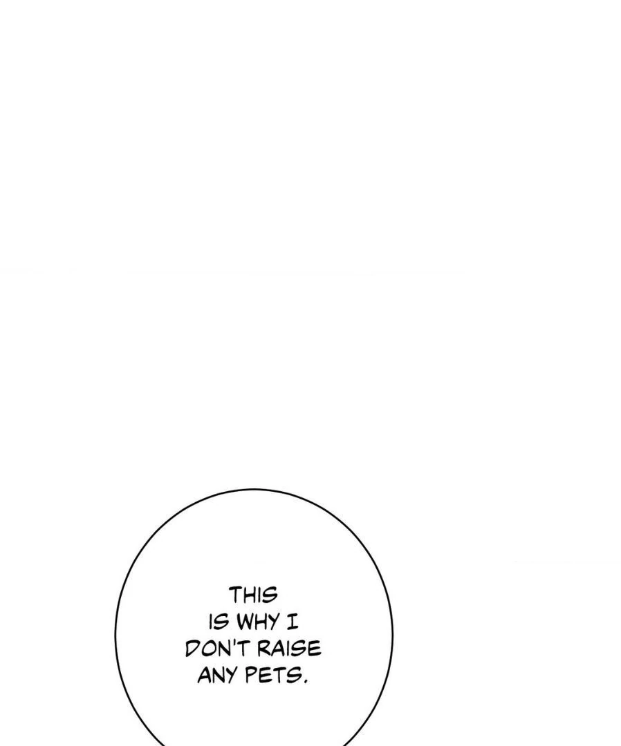Do You Still Like Me? - Chapter 68 Page 1