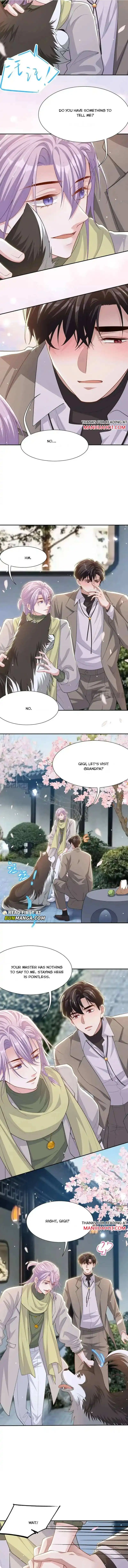 I’M A Stand-In Puppet For His Ex-Lover - Chapter 233 Page 5