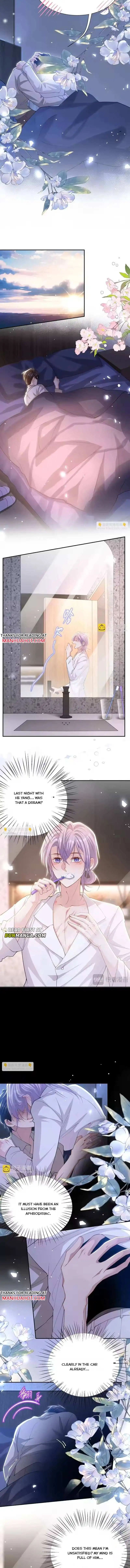 I’M A Stand-In Puppet For His Ex-Lover - Chapter 244 Page 4
