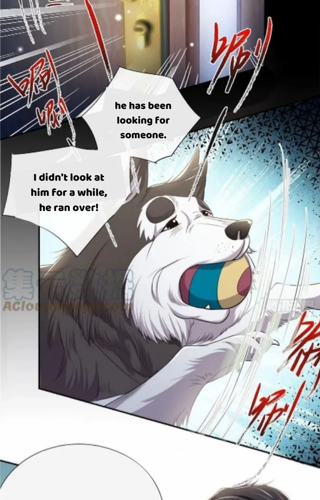 I’M A Stand-In Puppet For His Ex-Lover - Chapter 29 Page 14