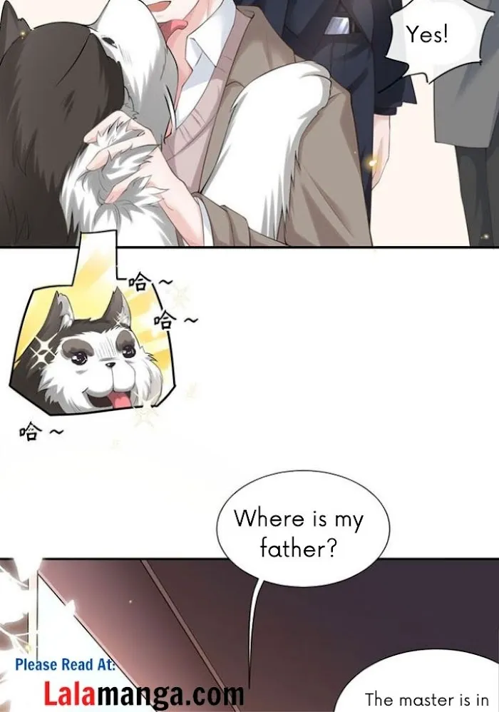 I’M A Stand-In Puppet For His Ex-Lover - Chapter 3 Page 20