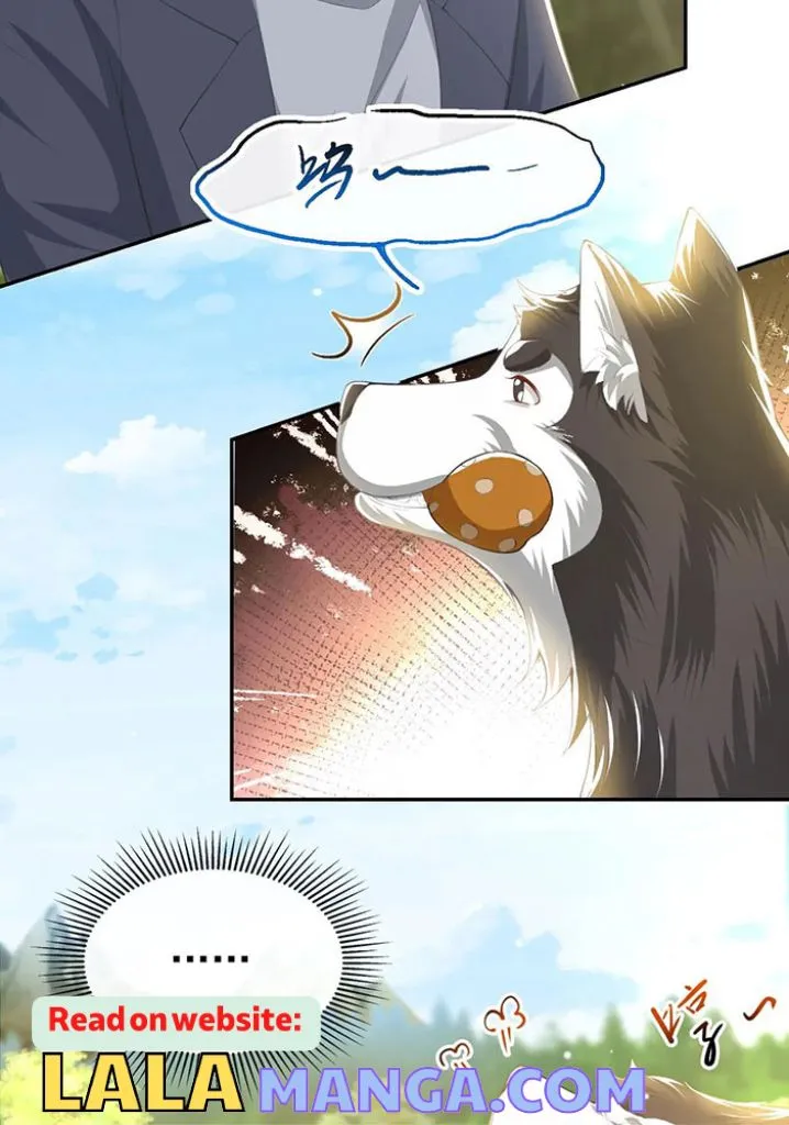 I’M A Stand-In Puppet For His Ex-Lover - Chapter 68 Page 6