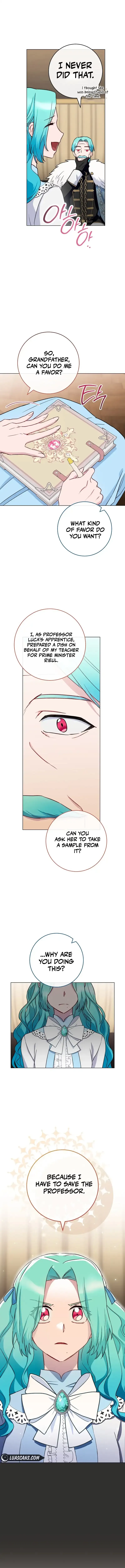 Royal Shop Of Young Lady - Chapter 132 Page 11