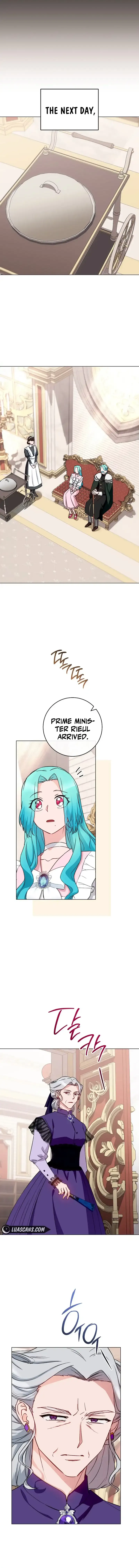 Royal Shop Of Young Lady - Chapter 132 Page 12