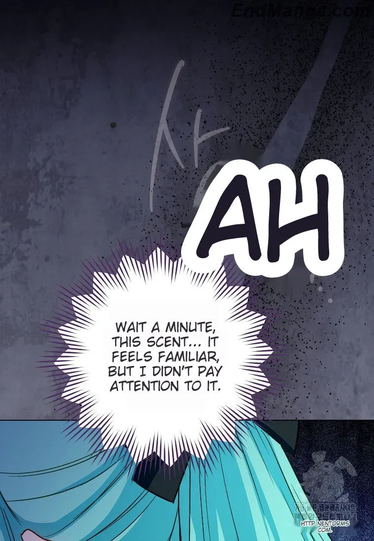 Royal Shop Of Young Lady - Chapter 159 Page 3
