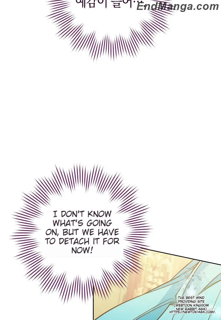 Royal Shop Of Young Lady - Chapter 159 Page 115