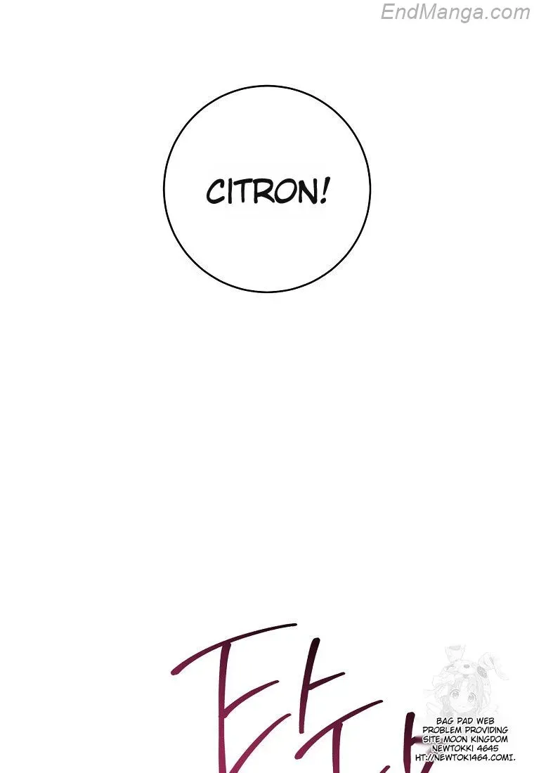 Royal Shop Of Young Lady - Chapter 160 Page 82