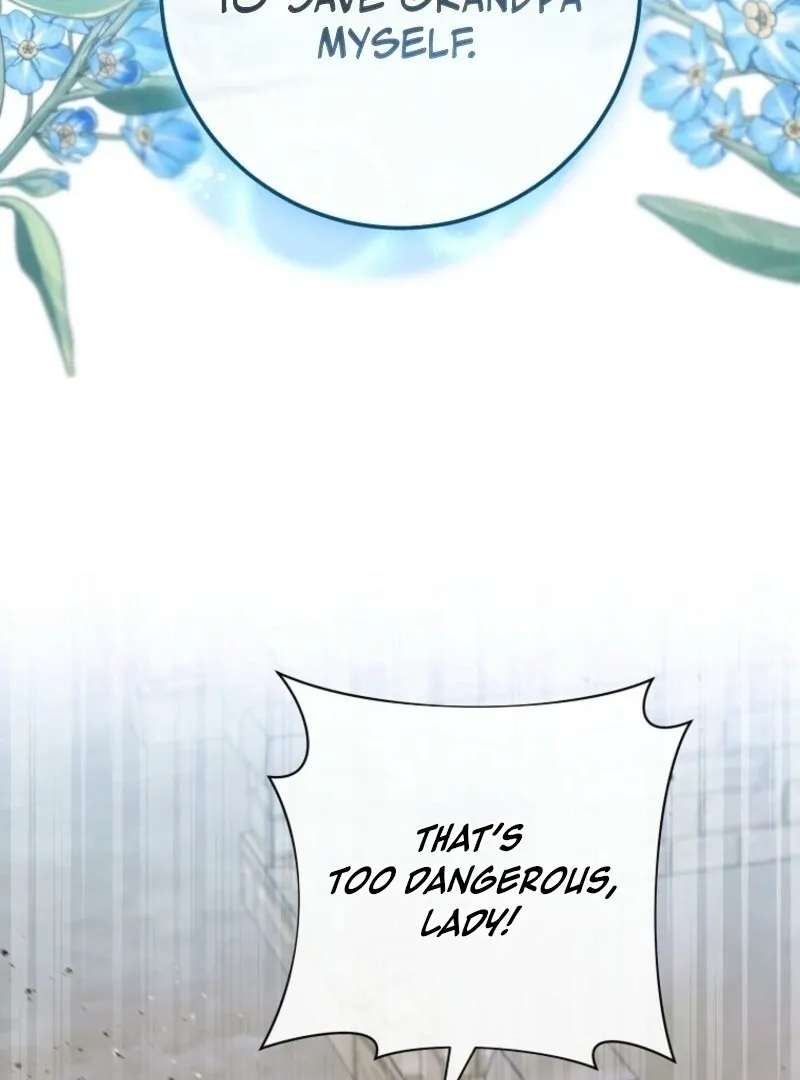 Royal Shop Of Young Lady - Chapter 179 Page 40