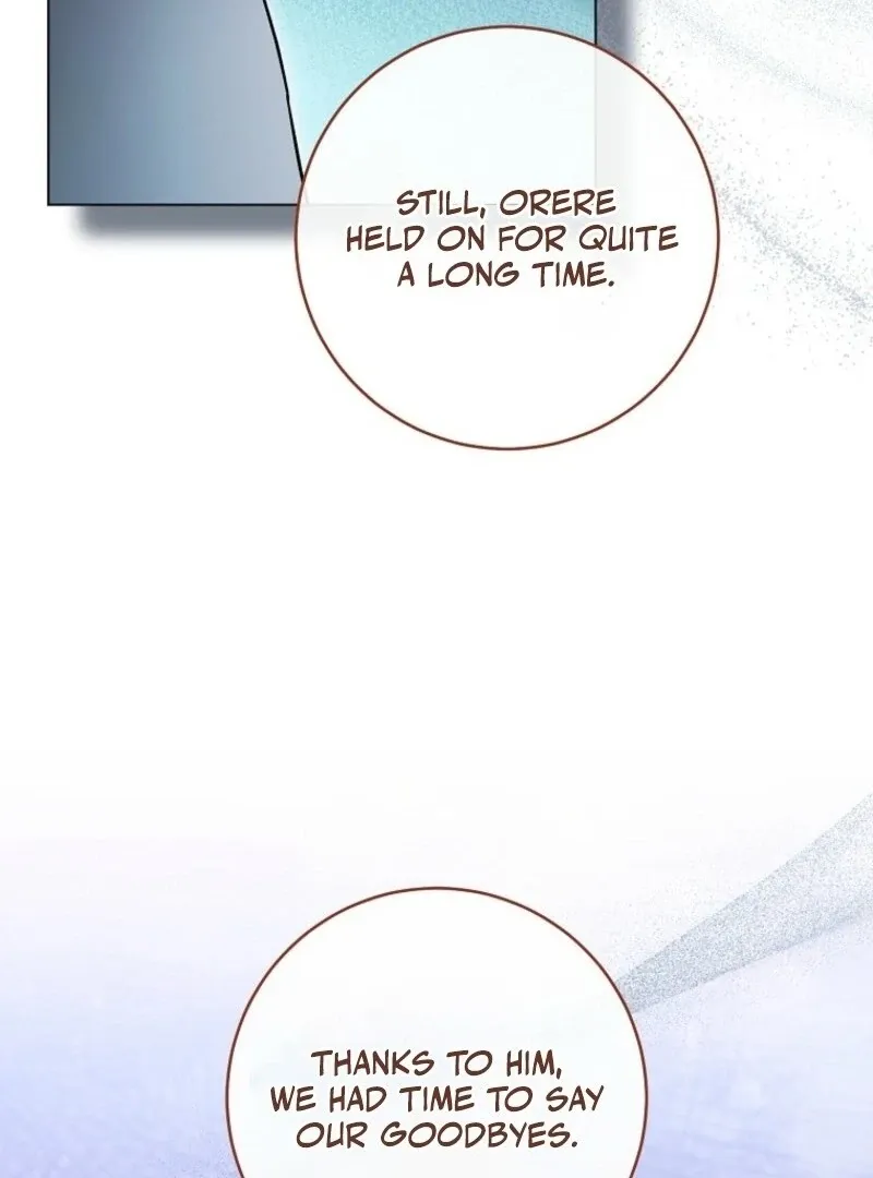Royal Shop Of Young Lady - Chapter 181 Page 25