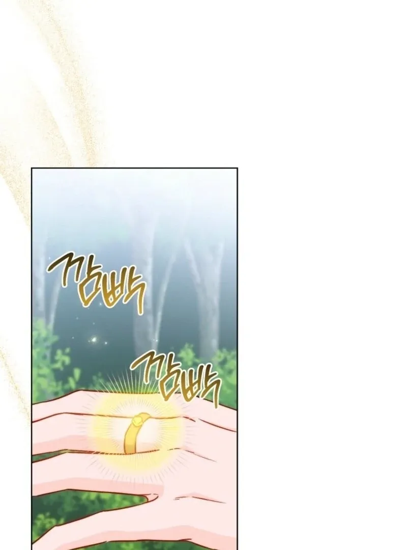 Royal Shop Of Young Lady - Chapter 185 Page 28