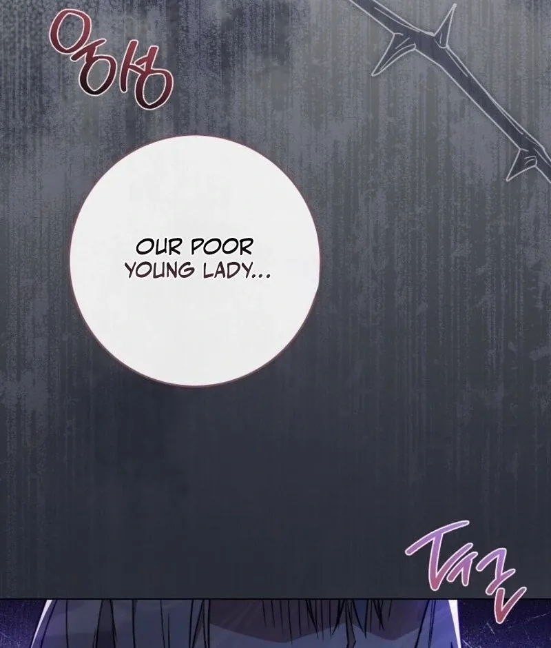 Royal Shop Of Young Lady - Chapter 185 Page 79