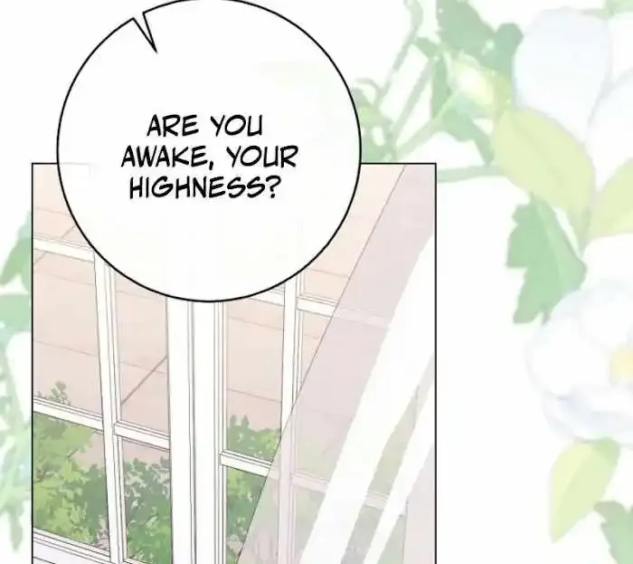 Royal Shop Of Young Lady - Chapter 188 Page 13
