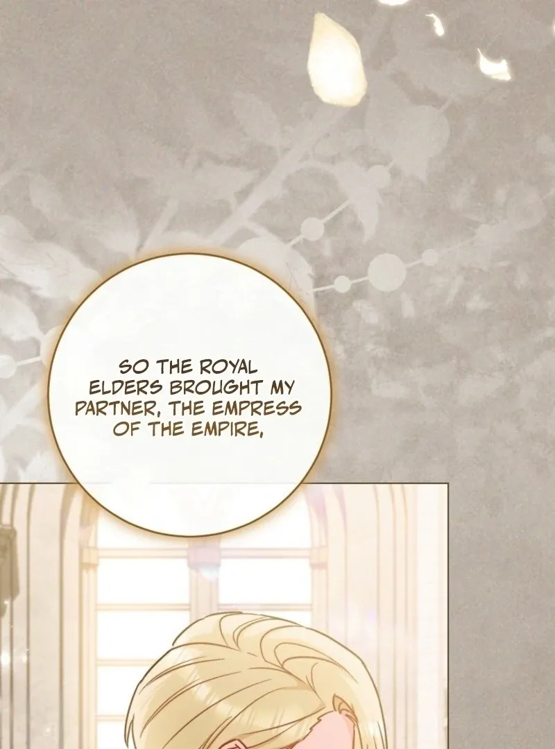 Royal Shop Of Young Lady - Chapter 189 Page 18