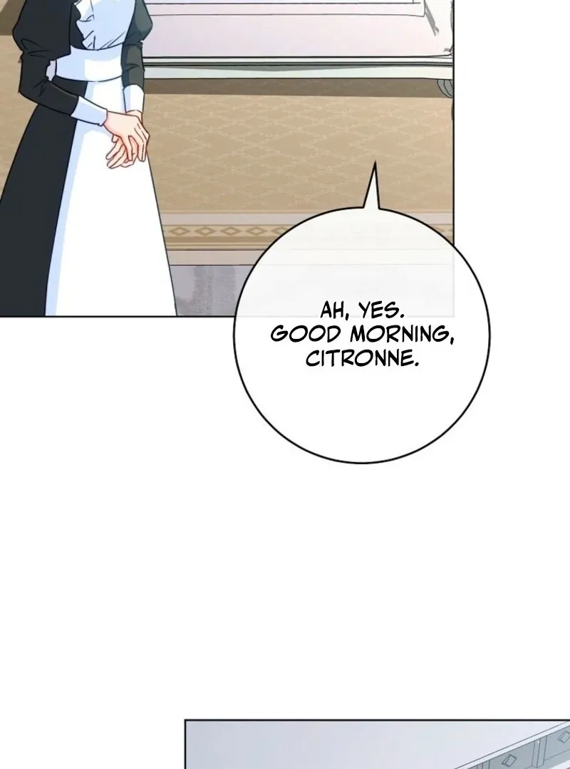 Royal Shop Of Young Lady - Chapter 192 Page 23