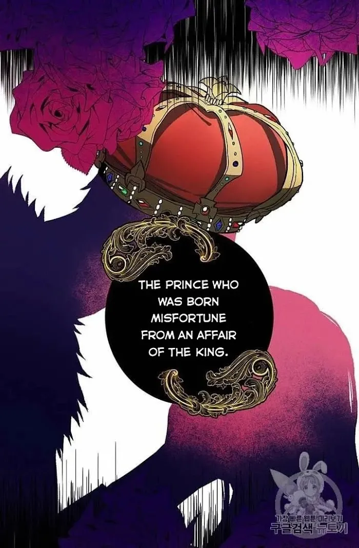 Royal Shop Of Young Lady - Chapter 20.5 Page 14