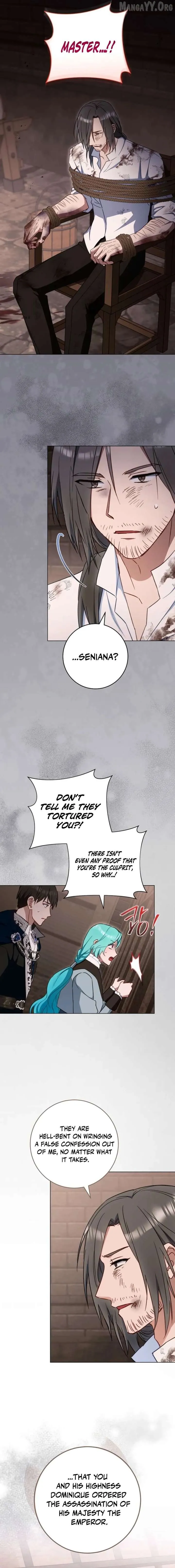 Royal Shop Of Young Lady - Chapter 206 Page 7