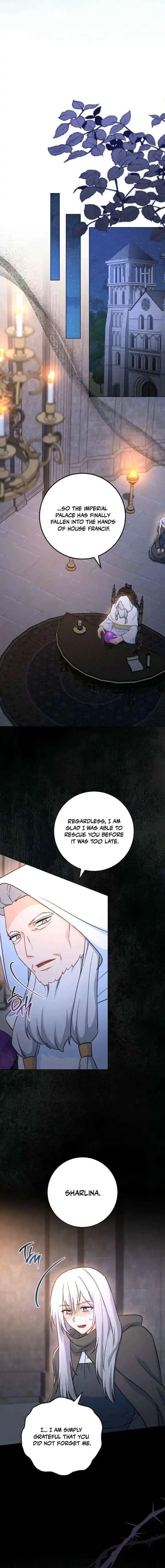 Royal Shop Of Young Lady - Chapter 213 Page 19