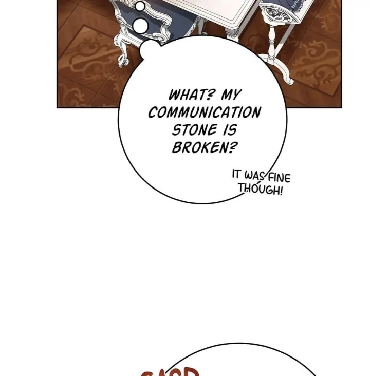 Royal Shop Of Young Lady - Chapter 73 Page 24