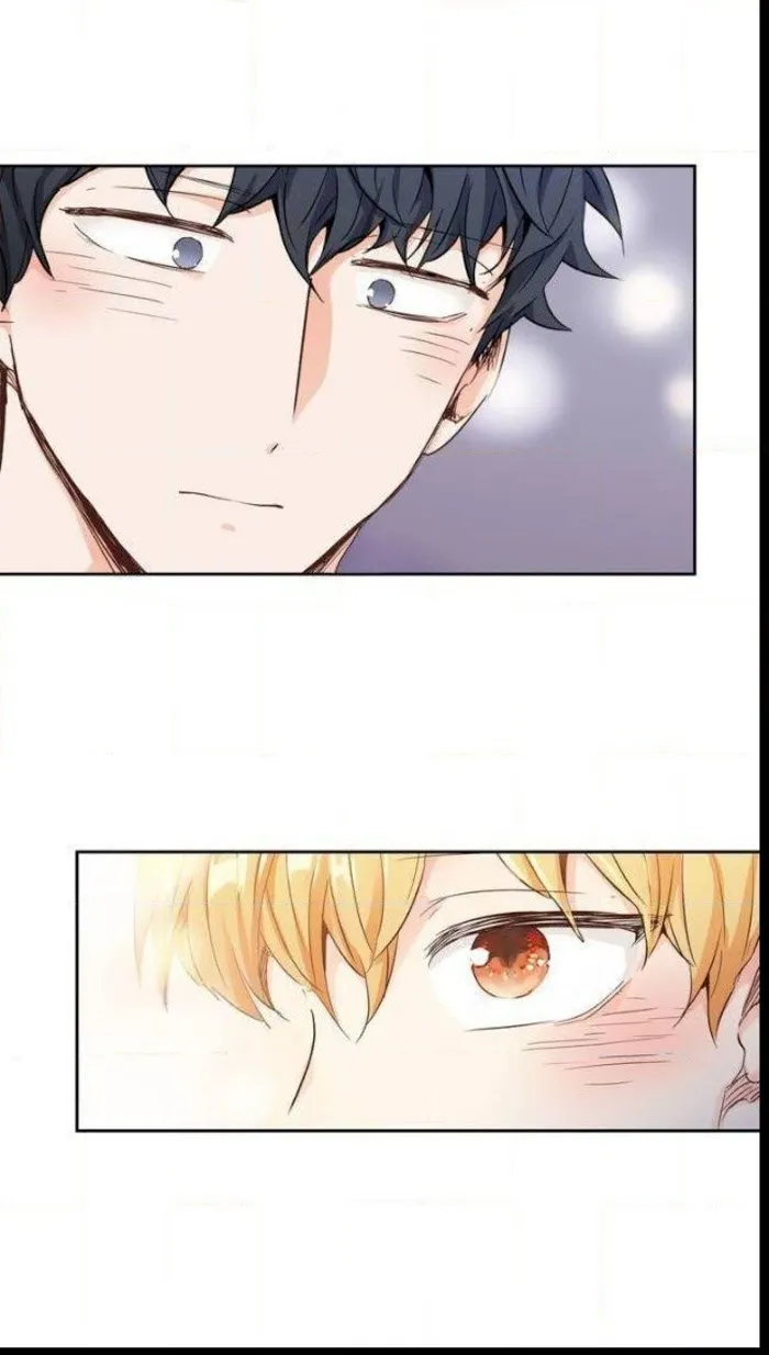 Love Is An Illusion - Chapter 31 Page 3