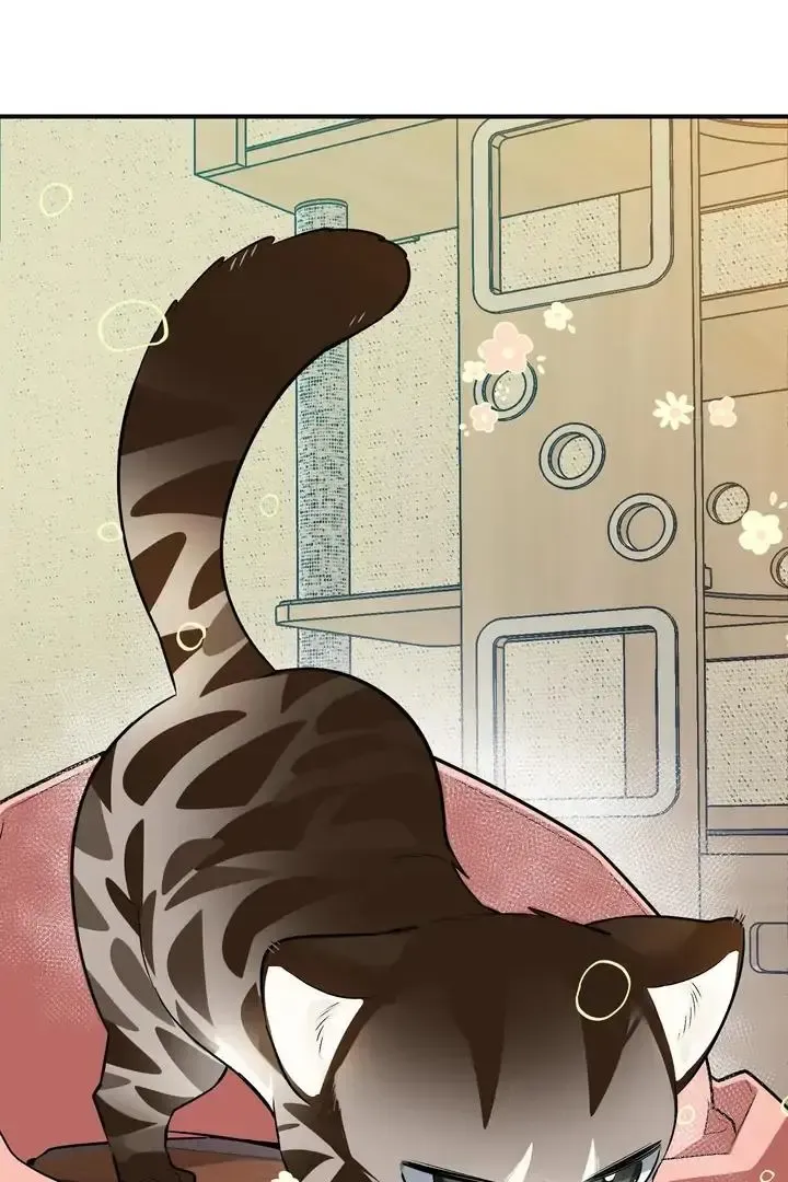 Give Birth To A Baby Wildcat For Me, Unless You Want To See Me Go Insane! - Chapter 1 Page 50