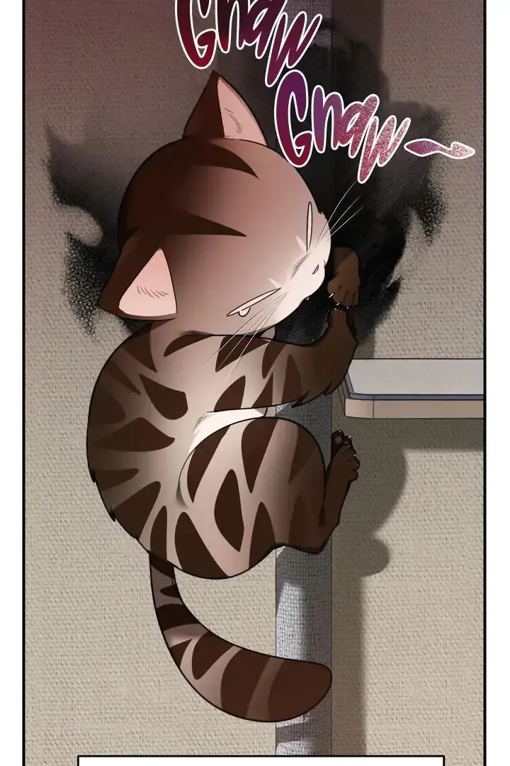 Give Birth To A Baby Wildcat For Me, Unless You Want To See Me Go Insane! - Chapter 1 Page 58