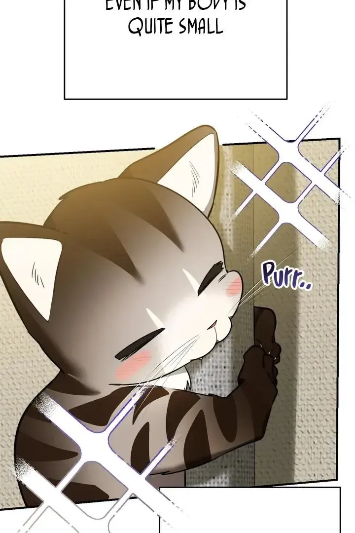 Give Birth To A Baby Wildcat For Me, Unless You Want To See Me Go Insane! - Chapter 1 Page 60