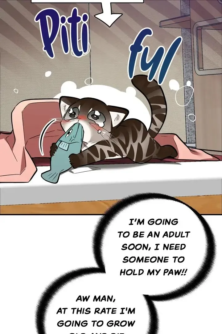 Give Birth To A Baby Wildcat For Me, Unless You Want To See Me Go Insane! - Chapter 1 Page 81