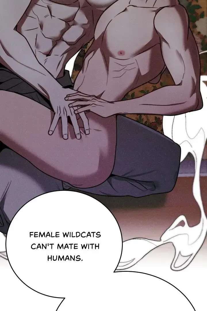 Give Birth To A Baby Wildcat For Me, Unless You Want To See Me Go Insane! - Chapter 1 Page 99