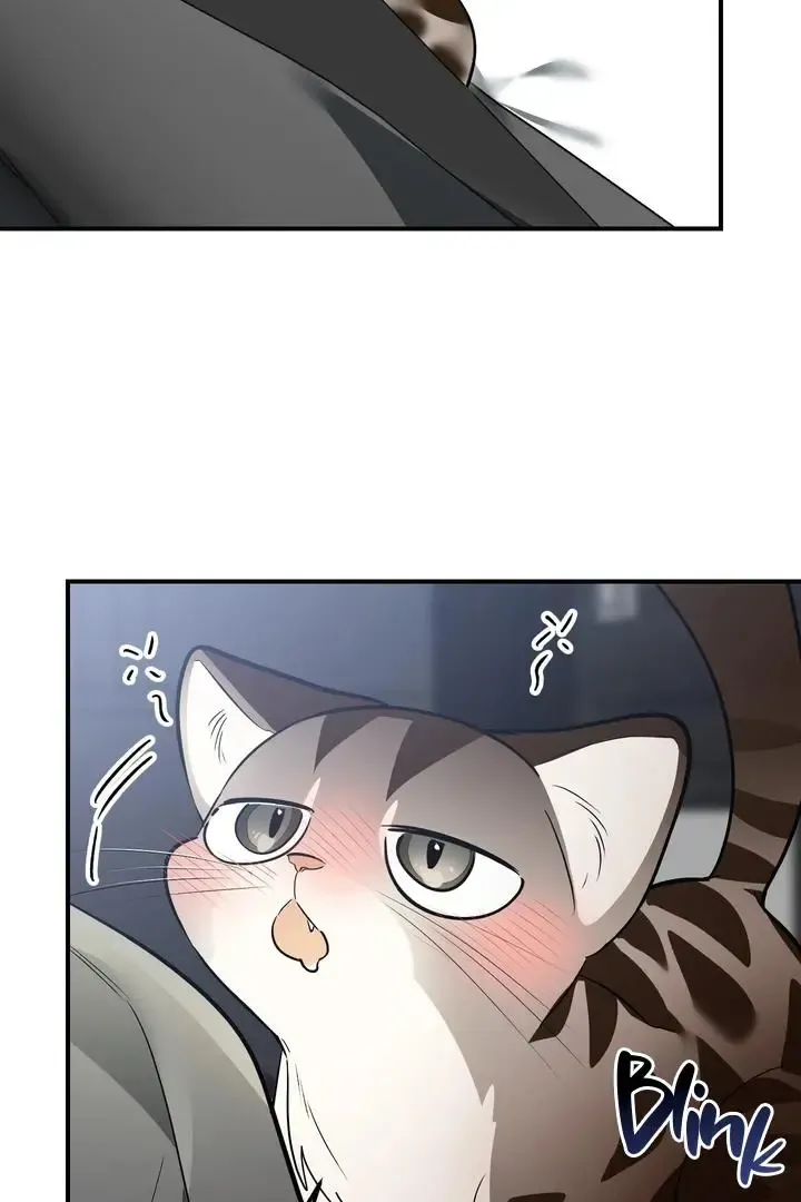 Give Birth To A Baby Wildcat For Me, Unless You Want To See Me Go Insane! - Chapter 1 Page 180