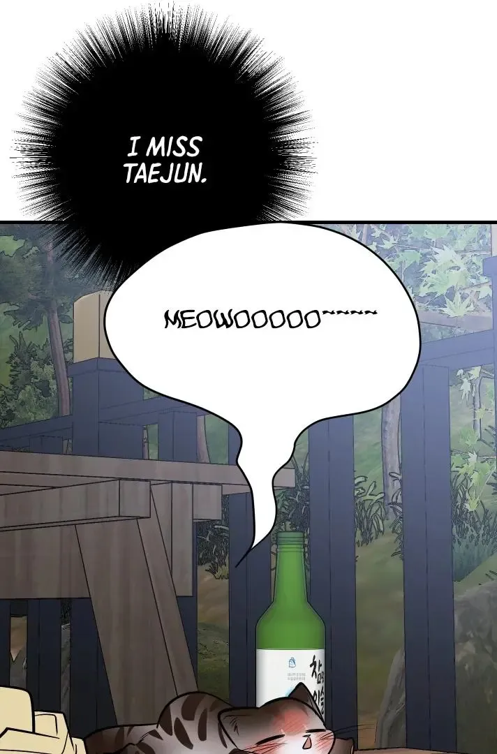 Give Birth To A Baby Wildcat For Me, Unless You Want To See Me Go Insane! - Chapter 11 Page 165
