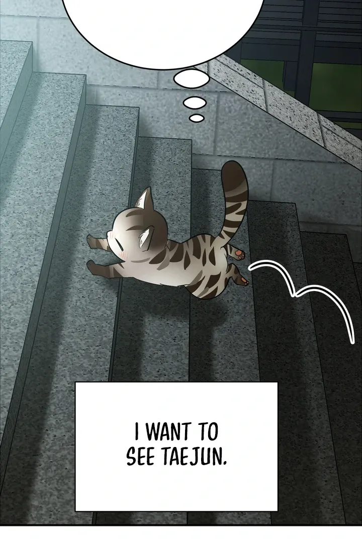 Give Birth To A Baby Wildcat For Me, Unless You Want To See Me Go Insane! - Chapter 12 Page 7