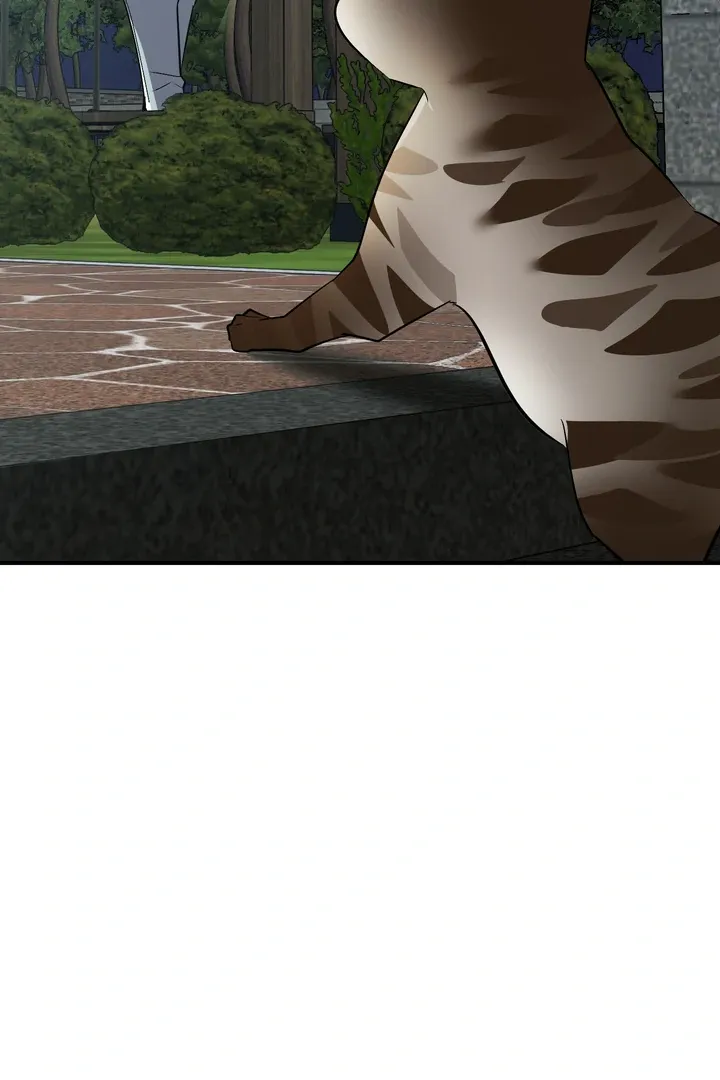 Give Birth To A Baby Wildcat For Me, Unless You Want To See Me Go Insane! - Chapter 12 Page 14