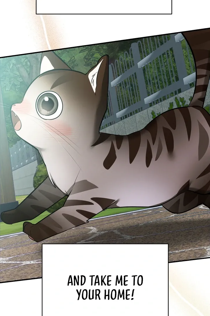 Give Birth To A Baby Wildcat For Me, Unless You Want To See Me Go Insane! - Chapter 12 Page 19