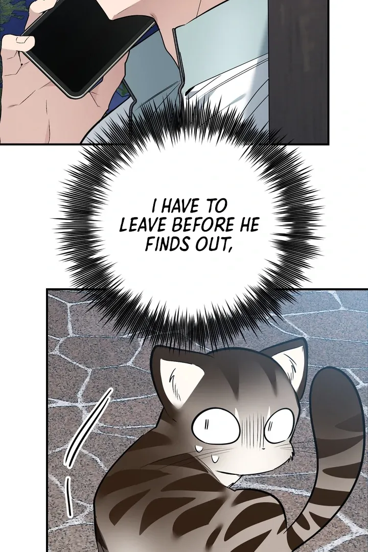 Give Birth To A Baby Wildcat For Me, Unless You Want To See Me Go Insane! - Chapter 12 Page 26