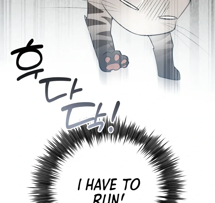 Give Birth To A Baby Wildcat For Me, Unless You Want To See Me Go Insane! - Chapter 12 Page 30