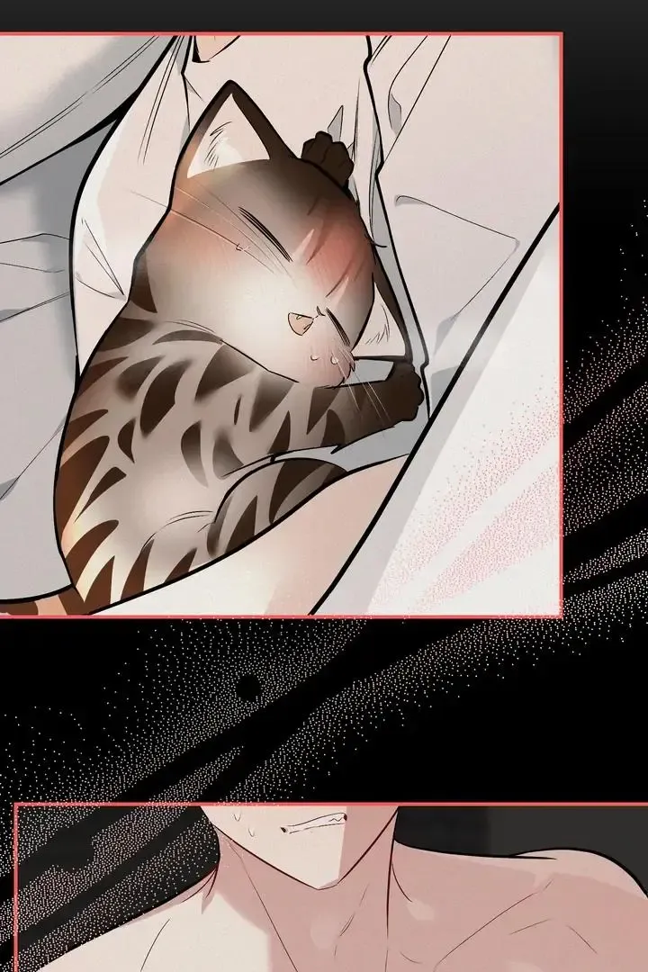 Give Birth To A Baby Wildcat For Me, Unless You Want To See Me Go Insane! - Chapter 16 Page 11