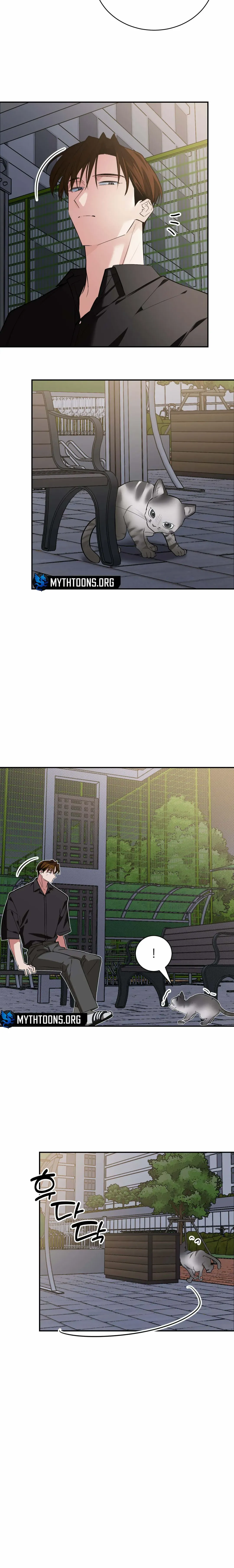 Give Birth To A Baby Wildcat For Me, Unless You Want To See Me Go Insane! - Chapter 19 Page 19