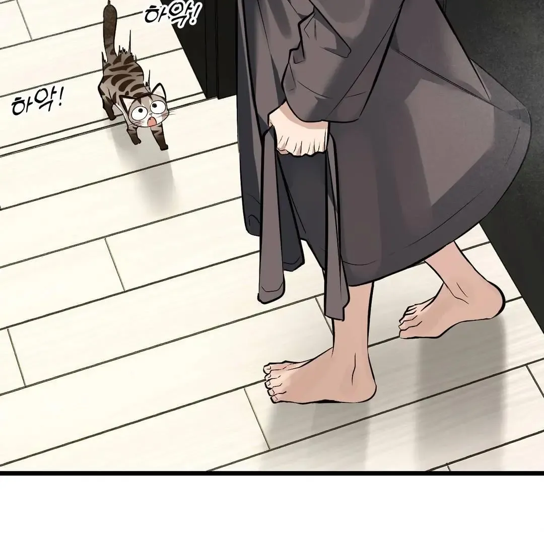 Give Birth To A Baby Wildcat For Me, Unless You Want To See Me Go Insane! - Chapter 3 Page 5