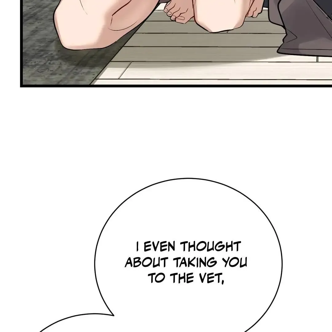 Give Birth To A Baby Wildcat For Me, Unless You Want To See Me Go Insane! - Chapter 3 Page 9