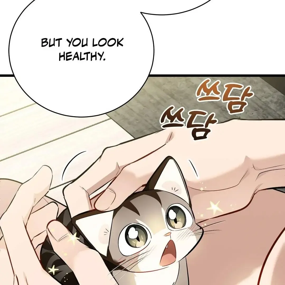 Give Birth To A Baby Wildcat For Me, Unless You Want To See Me Go Insane! - Chapter 3 Page 10