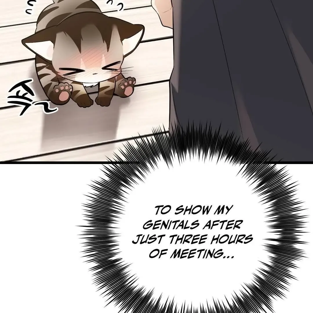 Give Birth To A Baby Wildcat For Me, Unless You Want To See Me Go Insane! - Chapter 3 Page 31