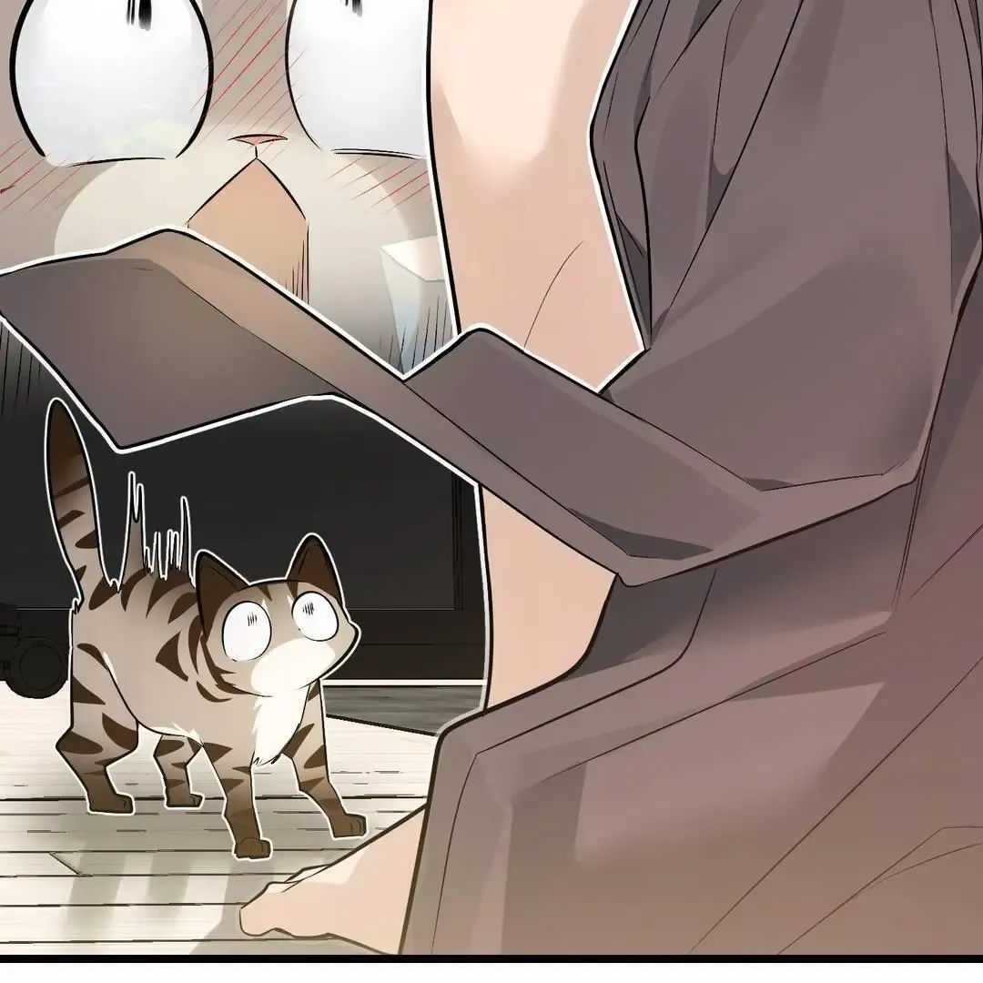 Give Birth To A Baby Wildcat For Me, Unless You Want To See Me Go Insane! - Chapter 3 Page 38
