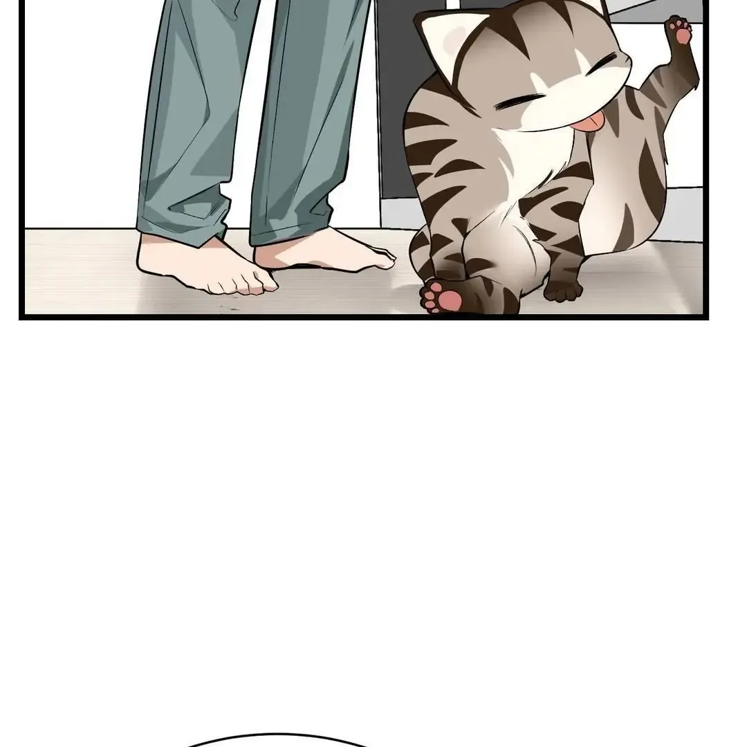 Give Birth To A Baby Wildcat For Me, Unless You Want To See Me Go Insane! - Chapter 3 Page 58