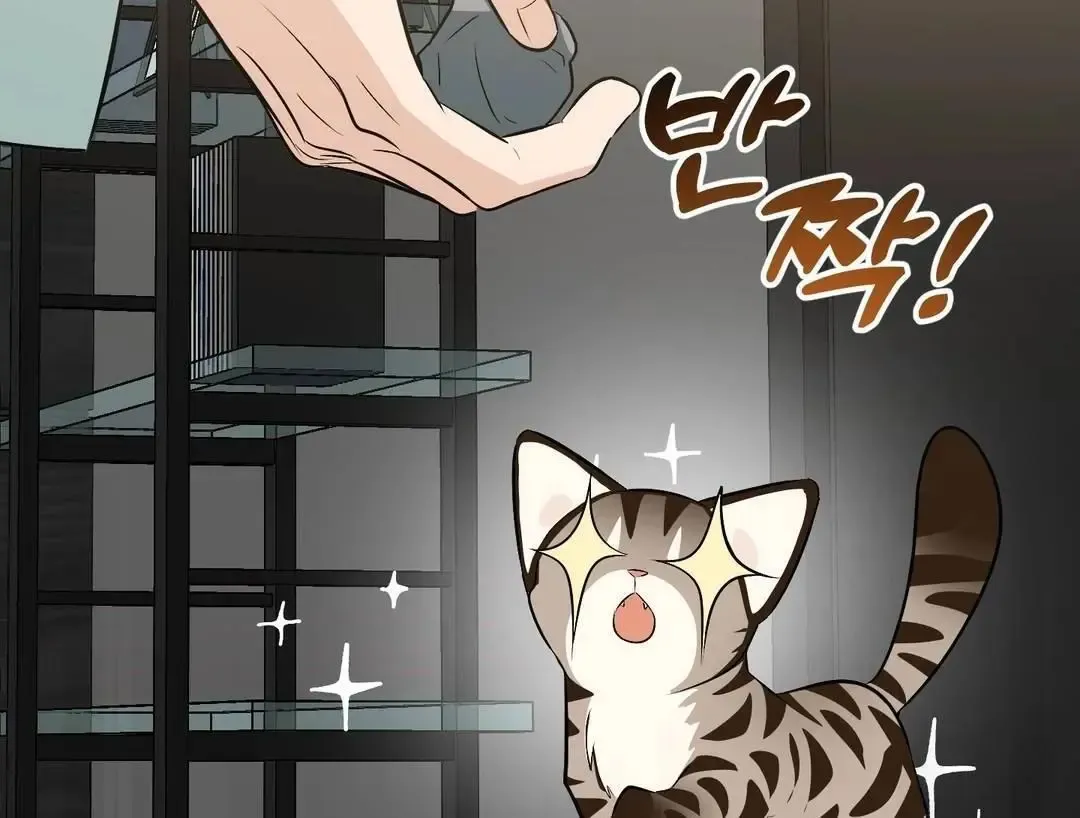 Give Birth To A Baby Wildcat For Me, Unless You Want To See Me Go Insane! - Chapter 3 Page 67