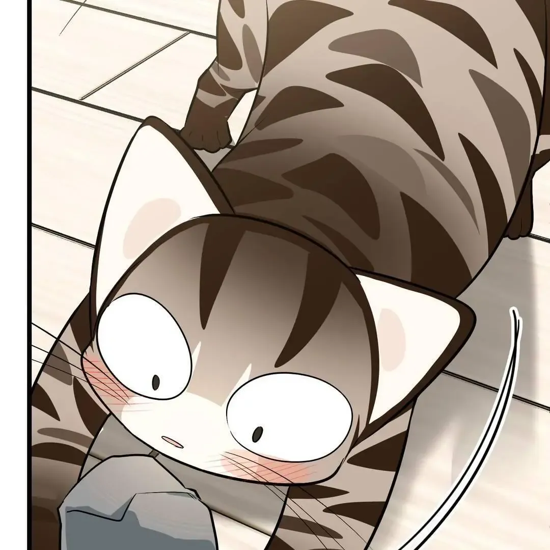 Give Birth To A Baby Wildcat For Me, Unless You Want To See Me Go Insane! - Chapter 3 Page 78