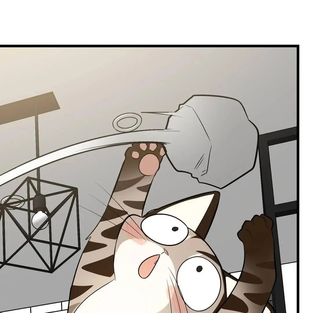 Give Birth To A Baby Wildcat For Me, Unless You Want To See Me Go Insane! - Chapter 3 Page 80