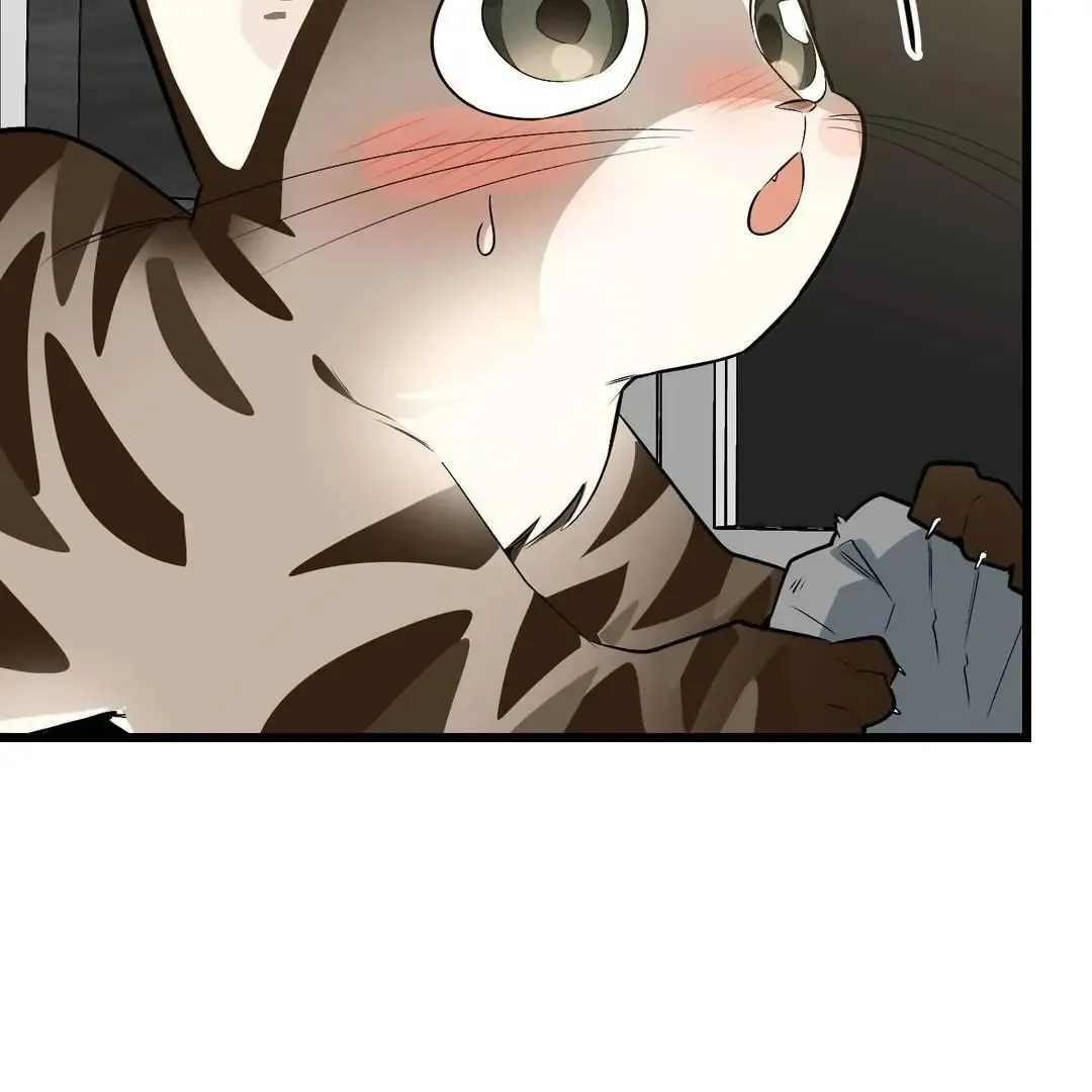 Give Birth To A Baby Wildcat For Me, Unless You Want To See Me Go Insane! - Chapter 3 Page 94