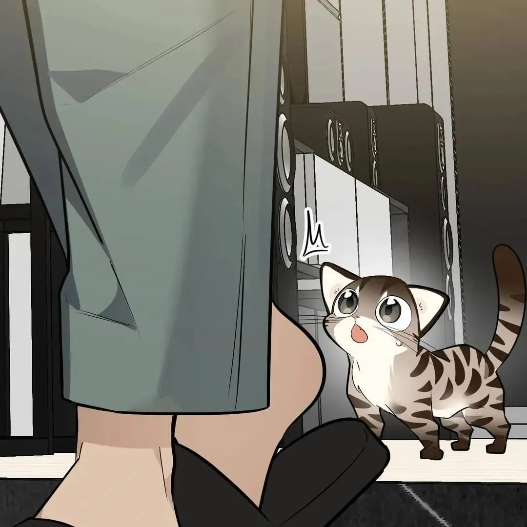 Give Birth To A Baby Wildcat For Me, Unless You Want To See Me Go Insane! - Chapter 3 Page 105