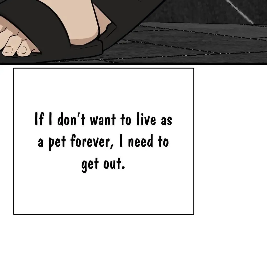 Give Birth To A Baby Wildcat For Me, Unless You Want To See Me Go Insane! - Chapter 3 Page 106